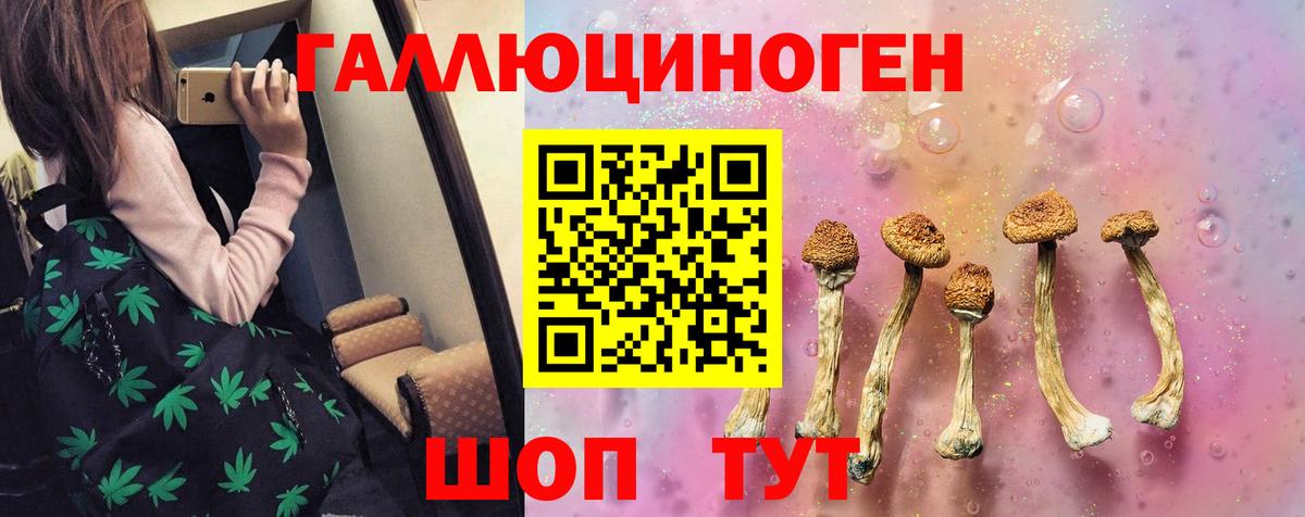 Псилоцибиновые грибы Psilocybine cubensis Кореновск