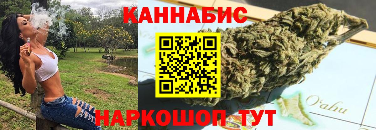 Каннабис сатива Кореновск